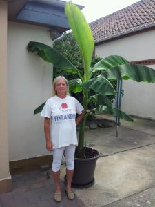 Profilbild von Marion Steinbach