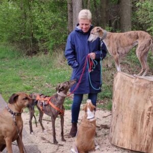 Profilbild von Marita Seifarth