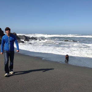 Profilbild von Mark Dr.Lauer