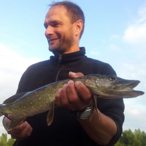 Profilbild von Mark Fischer