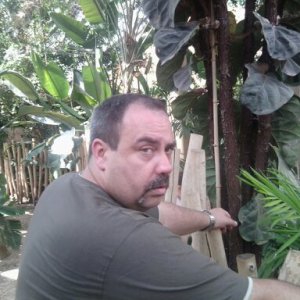 Profilbild von Mark Gesthuysen