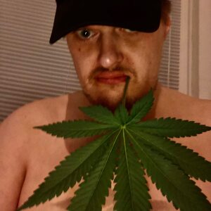 Profilbild von Marko Bauer