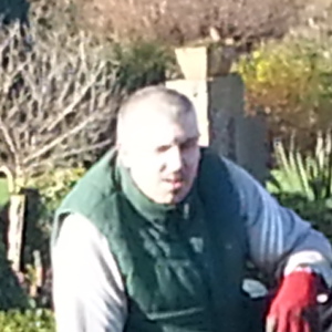 Profilbild von Markus Schiller