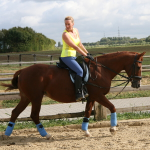 Profilbild von Marlene Dohmann