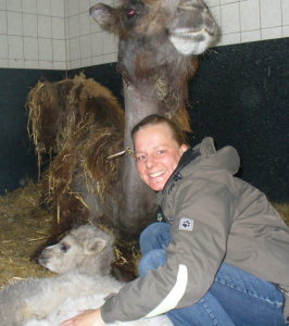 Profilbild von Marlene Koch