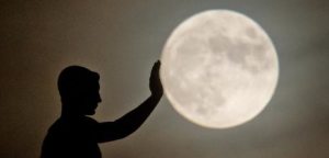 Profilbild von Martijn Otto