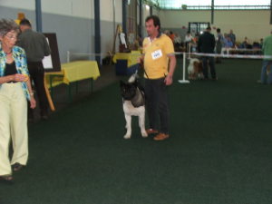 Profilbild von Martin Fischer