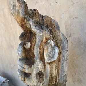 Profilbild von Martin Franz