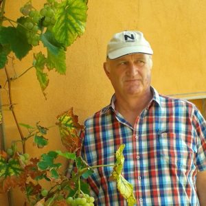 Profilbild von Martin Wewerink