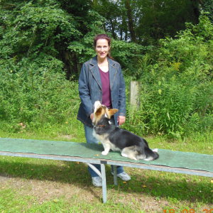 Profilbild von Martina Dallmer