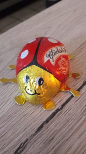 Profilbild von Martina Mendler