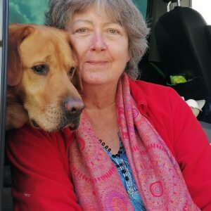 Profilbild von Martina Meyn