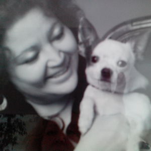 Profilbild von Martina Toelstede