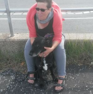 Profilbild von Martina Wersinski