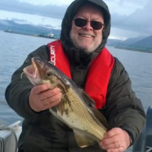 Profilbild von Matthias Prengel