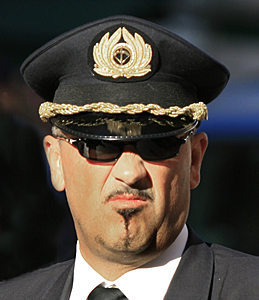 Profilbild von Max Höllwarth