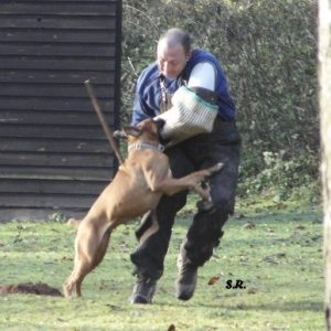 Profilbild von Meik Spies