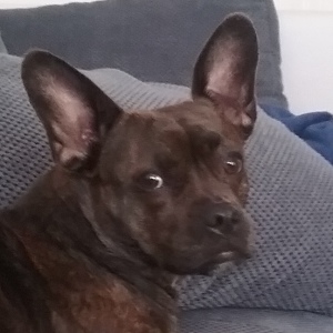 Profilbild von Metin Aga