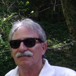 Profilbild von Michael Biehler