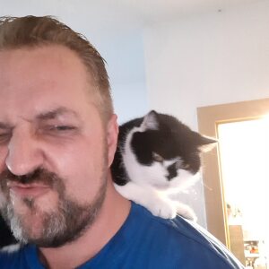 Profilbild von Michael Böhm