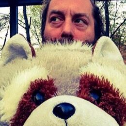 Profilbild von Michael Bolz
