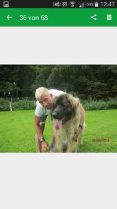 Profilbild von Michael Ell