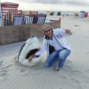 Profilbild von Michael Feist