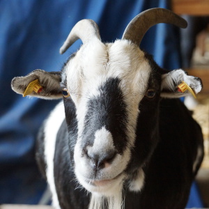 Profilbild von Michael Haberland