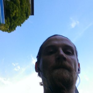 Profilbild von Michael Meier