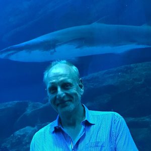 Profilbild von Michael Ohle