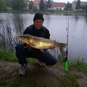 Profilbild von Michael Ohne