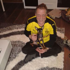 Profilbild von Michael Schärfke