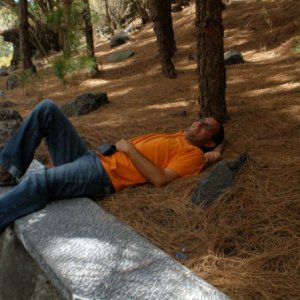 Profilbild von Michael Schmitz