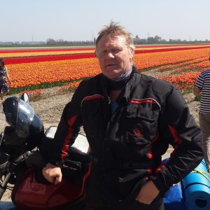 Profilbild von Michael Schwedler