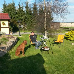 Profilbild von Michael Thiel