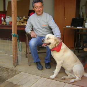Profilbild von Michael Thimianidis