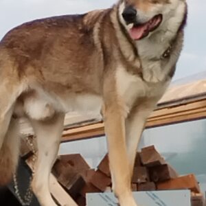 Profilbild von Michael Urbanzik