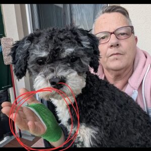 Profilbild von Michaela Kürschner