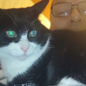 Profilbild von Mike Schwardt