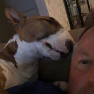 Profilbild von Mirko Bartosch