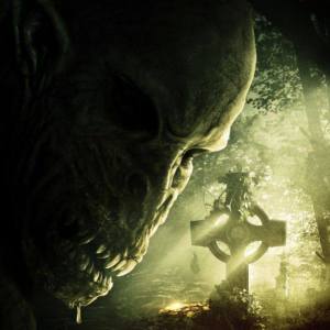 Profilbild von Mirko Föckler