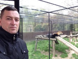 Profilbild von Mirza Huseinbasic