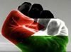 Profilbild von Mohamed Hamdan