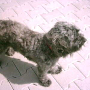 Profilbild von Moinka Wilken