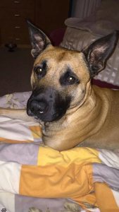 Profilbild von Monika Ahlgrimm