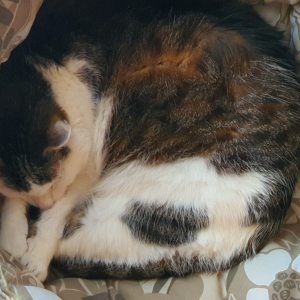 Profilbild von Monika Jung