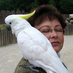 Profilbild von Monika Kroll