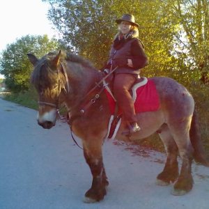 Profilbild von Monika Sengpiel