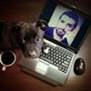 Profilbild von Murat Gomerya