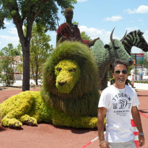 Profilbild von Murat Tasdelen